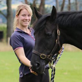 Horse breeders UK