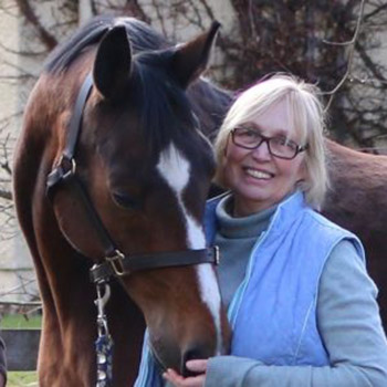 Horse breeders UK