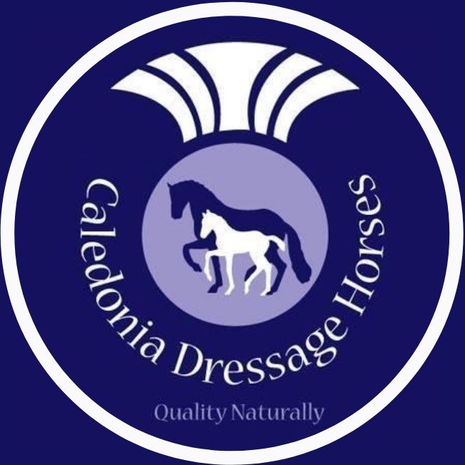 Caledonia Dressage Horses